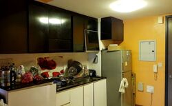Loft @ Rangoon (D8), Apartment #466347171